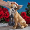 Bits and Pieces - Dog Solar Lantern Statue - Solar