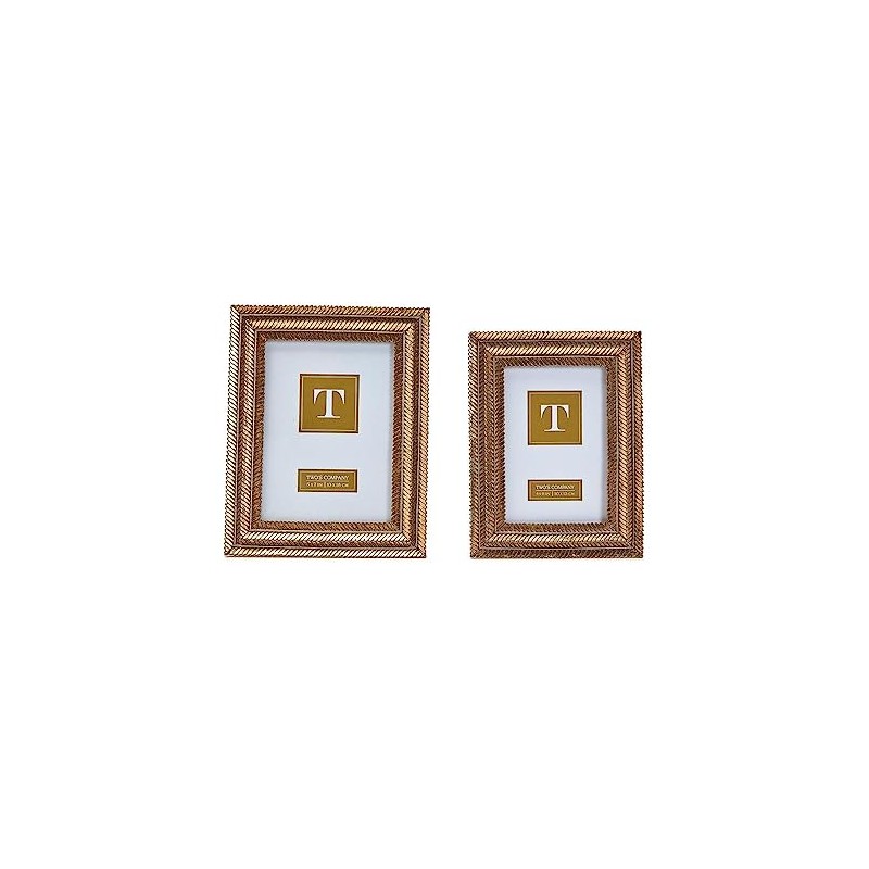 Two's Company Gold Fern Set of 2 Photo Frame Includes