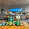 JOD® Turtle Cup Holder,Turtle Coaster with Funny Expression, 3 PCs