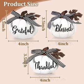 TURNMEON Fall Decorations-Set of 3 Thankful Grateful Blessed Resin Artificial Pumpkins Decor, Fall Pumpkin Centerpiece for Fall Autumn Harvest Thanksgiving Table Decorations Home Decor, White
