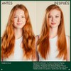 Aveda Paddle Brush Cepillo Plano | Para todo tipo de