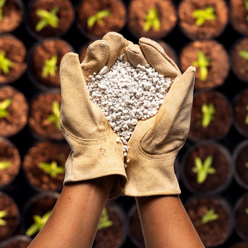 Perlite Bliss (8 Qts) - Organic Perlite for Plants -