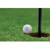 Macro Giant 1.7 Inch Foam Golf Ball, Set of 32,