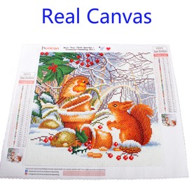 Huacan 5D DIY Diamond Painting Kits for Adults Animals Bird and Squirrel Full Square Drill Snow Scene Christmas Picture Crystal Rhinestone Embroidery Mosaic Art Home Wall Decor Gift 30x30cm