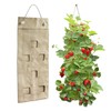 HANG & GROW Canvas Hanging Bag – 6 Holes (2"