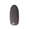 Pregel Gel Nails Color EX Seventies Charcoal 848 Color Gel