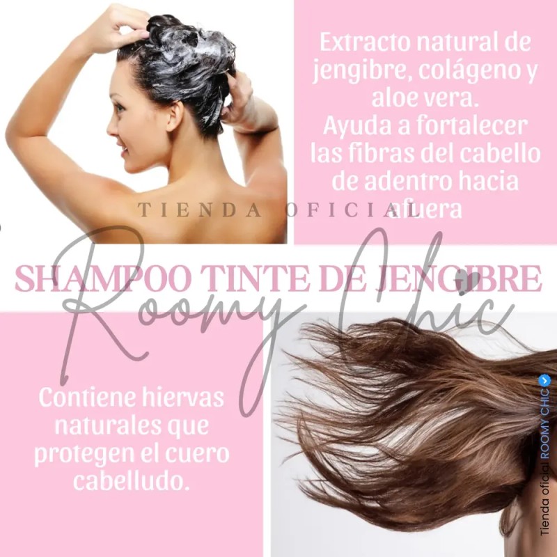 Shampoo Con Tinte Instantáneo Castaño Cubre Canas 500ml