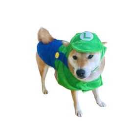ComfyCamper - Disfraz de perro para cachorros, cachorros, gato, gatito, mascota, overoles de súper hermanos accesorios de Halloween, talla XL, verde