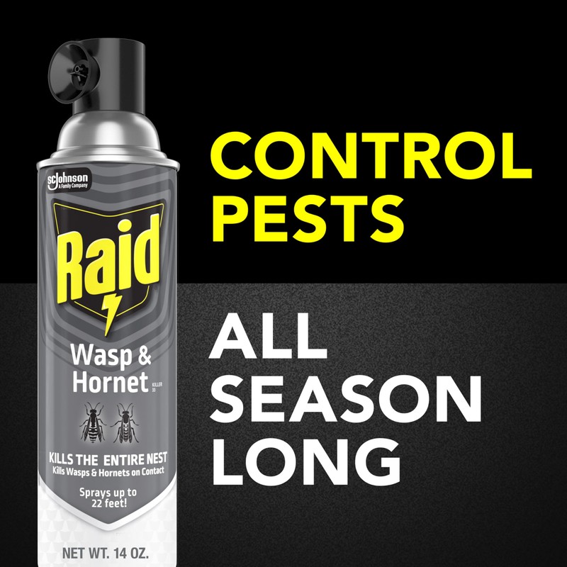 Raid Wasp & Hornet Killer Spray, Bug Killer Kills the