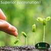 Beauty Beyond Belief Premium Drought Resistant Wildflower Seeds Bulk Mix