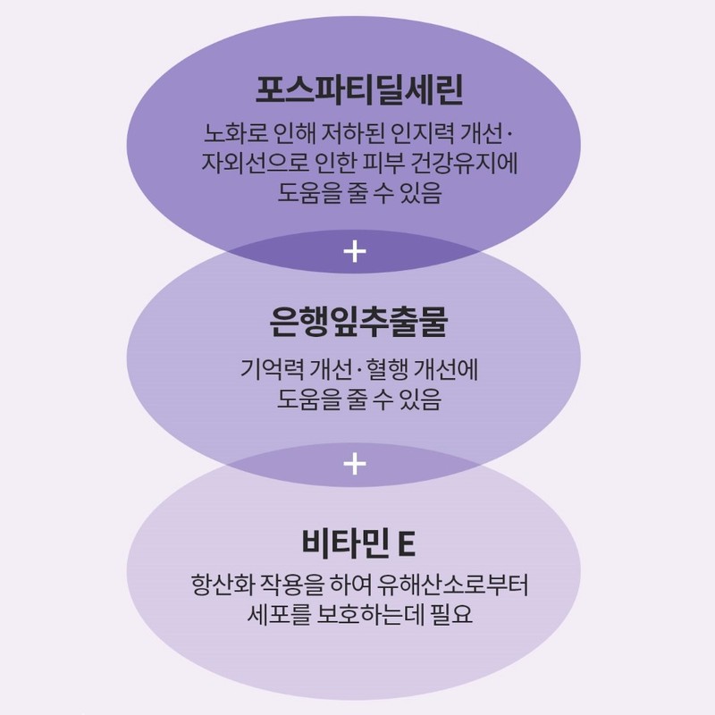 nutrinus 두뇌엔 포스파티딜세린 징코 비타민E PS 유산균 60캡슐 x 2통