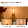 12 Volt Low Voltage LED Light Bulbs - Soft Warm