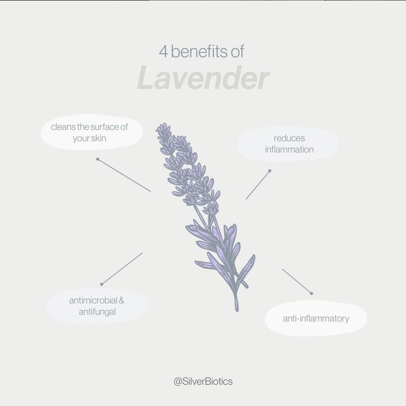 American Biotech Labs Silver Biotics Advanced Healing Skin Cream Lavender