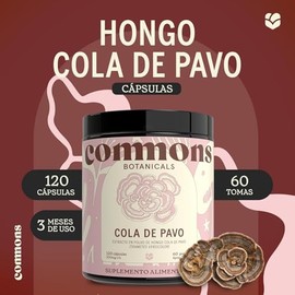 Hongos Adaptógenos - Suplemento de Hongo Cola de Pavo 120 Cápsulas - Extracto 100% Natural
