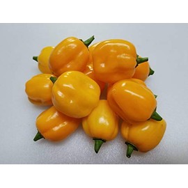 Aji Dulce Yellow Pepper Seeds 10+ Seeds