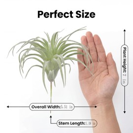 Artificial Plants & Greenery 2Pcs Faux Decor Set