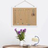 FEBSNOW Cork Board Bulletin Board 15.7 x 12 Inches with