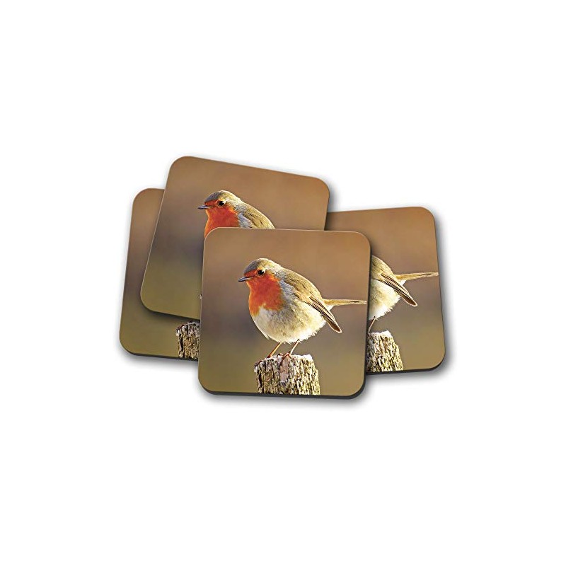 4 Set - Cute Robin Coaster - Bird Redbreast Twitcher