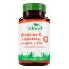 Vidanat Vitamina Equinacea Jengibre Zinc Cápsulas