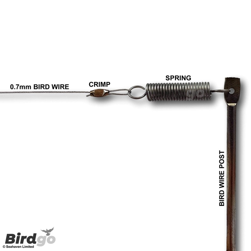 Birdgo 10 x Standard Stainless Steel Springs for Bird Post