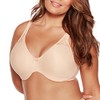 Bali Passion for Comfort Minimizer Underwire Bra, Soft Taupe, 42C