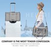 Henkelion Cat Carriers Dog Carrier Pet Carrier For Small /