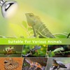 160W UVA UVB Vapor Reptile Heat Lamp, High Intensity Self-Ballasted