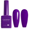 CANNI - Esmalte de uñas en gel morado oscuro, 1