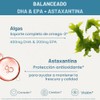 Pure & Essential Vegan Omega 3 Algae Oil Dha Epa