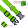 Reflective Dog Collar with Buckle Adjustable Safety Nylon Collars for