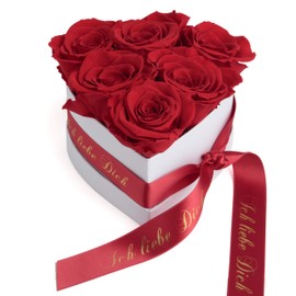 Rosemarie Schulz Heidelberg Infinity Rose Box in Heart Shape with Preserved Roses in Red Valentine's Day Gift