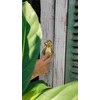 Tropical Welcome – Bronze Pineapple Door Knocker from Bali A