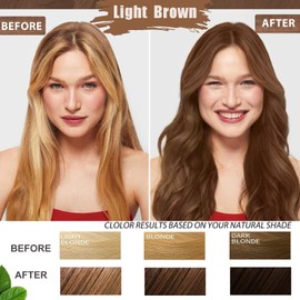 Sklight Hair Dye Shampoo 3 in 1 for Gray Hair, Long-Lasting & Natural Light Brown Hair Color in Minutes, Herbal Ingredients Hair Color Shampoo, Champu Para Canas Mujer for Women Men 16.9 Fl Oz