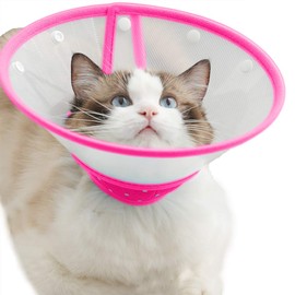 Cat Cone Dog Cone Collar Soft Dotted Recovery Collar After Surgery for Cats Kitten Puppy Small Dogs Pets Animals (M, Rose Red)