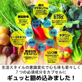 つり気味な毎日に カラダにスイッチを入れる7つの贈り物 ボディースイッチ1 (100粒) 酸化マグネシウム シトルリン 亜鉛酵母 テアニン リンゴ酸 難消化デキストリン・ビタミンミックス ビタミンA ビタミンB1 ビタミンB2 ビタミンB6 ビタミンB12 ビタミンC ビタミンE 葉酸 ビタミンD ビタミンE