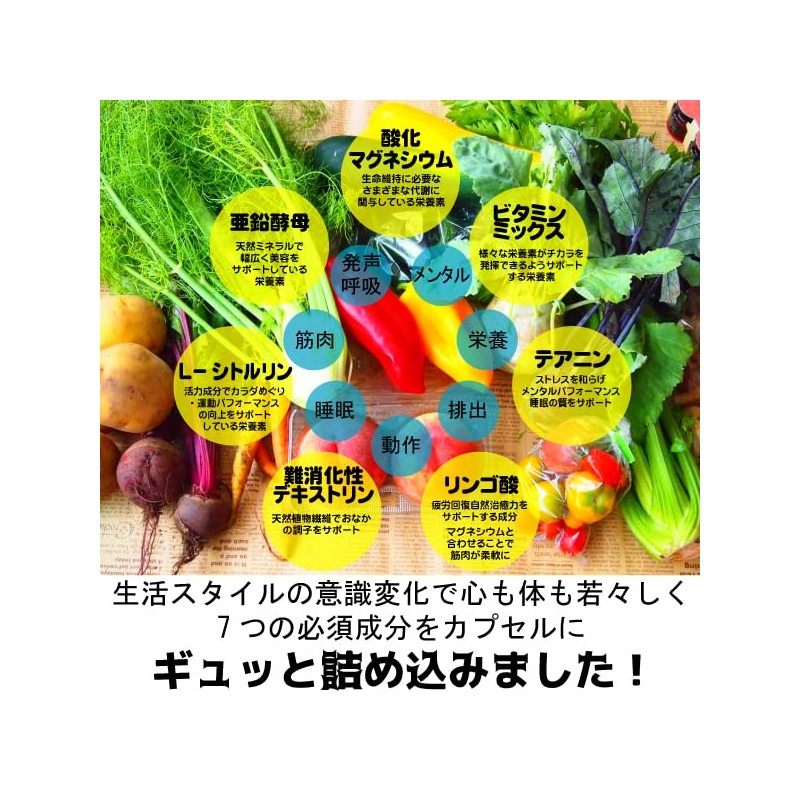 つり気味な毎日に カラダにスイッチを入れる7つの贈り物 ボディースイッチ1 (100粒) 酸化マグネシウム シトルリン 亜鉛酵母 テアニン リンゴ酸 難消化デキストリン・ビタミンミックス