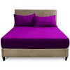 GC GAVENO CAVAILIA 4ft Fitted Bed Sheet- Polycotton Small Double
