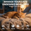 Cat Calming Diffuser Refill 6 Pack Cat Calming Pheromone Diffuser