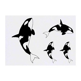 4 x 'Killer Whale' Temporary Tattoos - Water Resistant, Skin-Safe, Non-Toxic Transfers, Mixed Sizes (TO00001553)