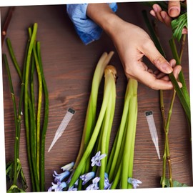 OFFSCH Pack of 50 Tubes for Storing Flowers Flower Arrangements Bottles Single Water Bottle Water Hose Water Hoses Flower Holder Tapered Water Pipe Stem