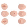 7PC Soft Silicone Body Part Model, Human Ear Mouth Eye