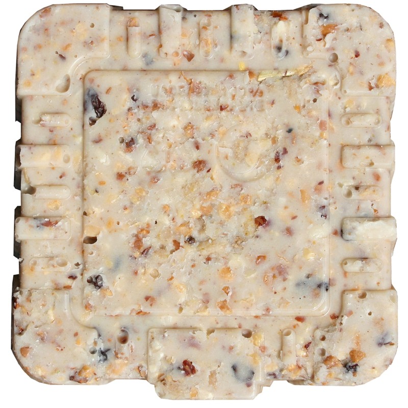 C&S Party Mix Suet, 11-Ounce