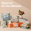 The Honest Company Hypoallergenic Multi-Use Baby Wipes for Sensitive Skin,