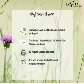 Exvital VitaHealth Milk Thistle Extract with 80% Silymarin Content, Highly Concentrated, 90 Vegan Capsules in Premium Quality, No Magnesium Stearate and 100% Vegan, 1 Pack (1 x 54g)