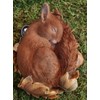 Vivid Arts Sleeping Baby Red Squirrel in Leaf | Resin