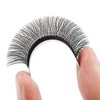 YY Eyelashes, YY Lashes, Y Eyelash Extension, Y Eyelash Extension,