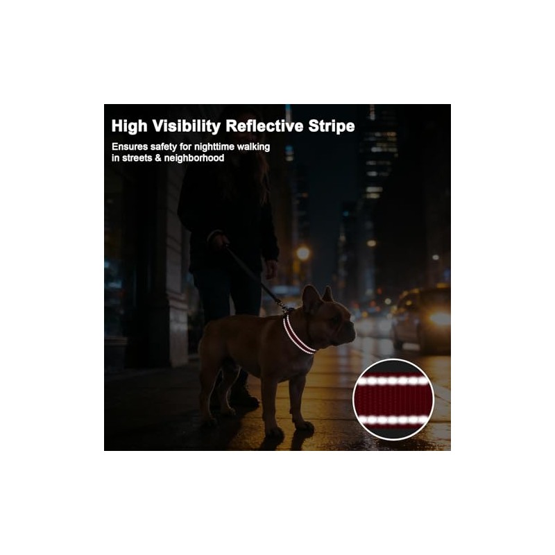 Taglory Collar Reflectante Airtag para Perros con Soporte Airtag, Anillas