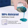 Sunshine Comforts Cotton Waterproof Mattress Protector Single- Ultra-Soft, Breathable Single