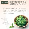 Mizutama Plantation Craft Flavor Tea "Apple Mint x Hojicha" 0.1