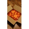 grip rite 25 count box of Grip-Rite OSHA Rebar Caps